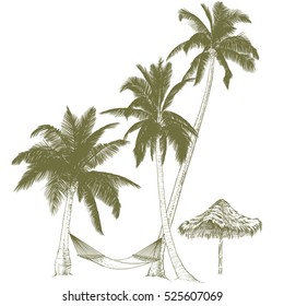 Vector illustration on a graphic tablet. Hand drawing.Palm trees with hammock.
