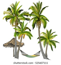 Vector illustration on a graphic tablet. Hand drawing. Branches of palm trees made gradient.Palm trees with hammock.