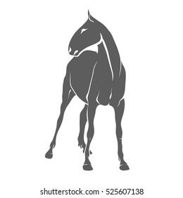 Vector illustration on a graphic tablet. Hand drawing. Silhouette of a horse standing.