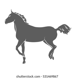 Vector illustration on a graphic tablet. Hand drawing. Silhouette of a running horse.