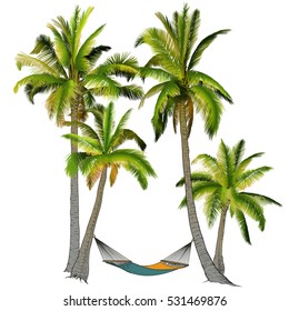 Vector illustration on a graphic tablet. Hand drawing. Branches of palm trees made gradient.Palm trees with hammock.