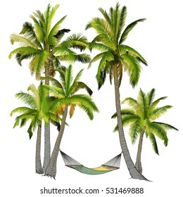 Ilustración vectorial en una tableta gráfica. Dibujo manual. Ramas de palmeras en gradiente. Palmeras con hamaca.
