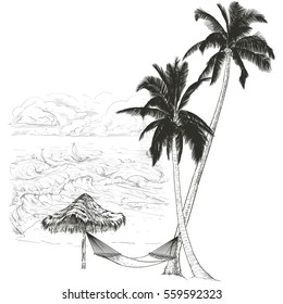 Vector illustration on a graphic tablet. Hand drawing.Palm trees with hammock, against the background of the ocean.