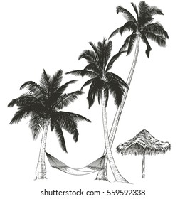 Vector illustration on a graphic tablet. Hand drawing.Palm trees with hammock.