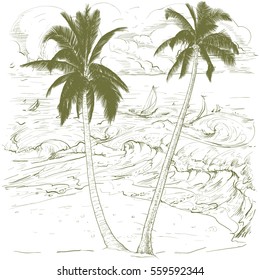 Vector illustration on a graphic tablet. Hand drawing.Palm trees, against the background of the sea with waves and sailboats.