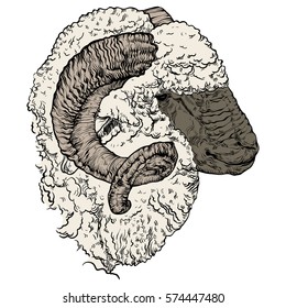 Vector illustration on a graphic tablet. Hand drawing. A ram head with horns in color.
