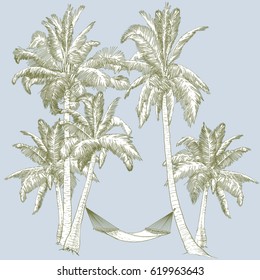 Ilustración vectorial en una tableta gráfica. Dibujo manual. Palmeras con hamaca.