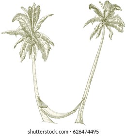 Vector illustration on a graphic tablet. Hand drawing.Palm trees with hammock.
