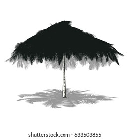 Vector illustration on a graphic tablet.  Beach umbrellas for protection from the sun. Unique, created from palm branches drawn by hand.