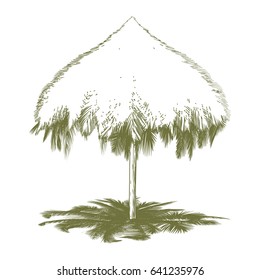 Vector illustration on a graphic tablet.  Beach umbrellas for protection from the sun. Unique, created from palm branches drawn by hand.