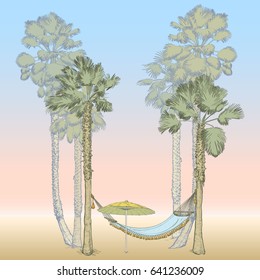 Vector illustration on a graphic tablet. Hand painting. Palm trees of California with a hammock and an umbrella from the sun.