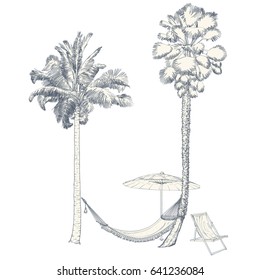 Vector illustration on a graphic tablet. Hand painting. Palm trees of California with a hammock and an umbrella from the sun.