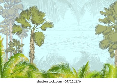 Vector illustration on a graphic tablet. Hand drawing.Palm trees , against the background of the ocean.