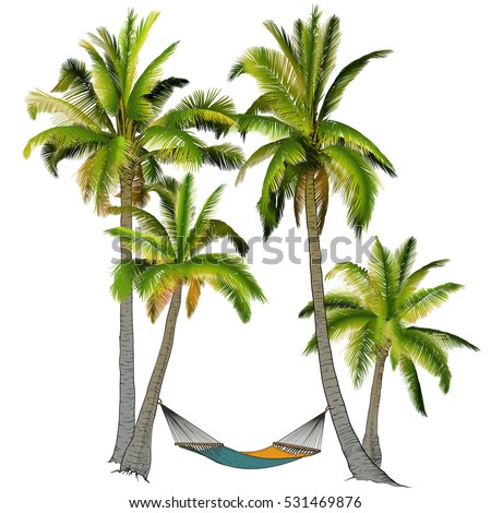 Vector illustration on a graphic tablet. Hand drawing. Branches of palm trees made gradient.Palm trees with hammock.