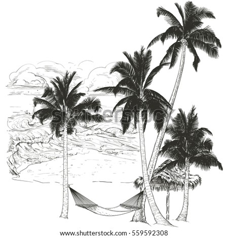 Vector illustration on a graphic tablet. Hand drawing.Palm trees with hammock, against the background of the ocean.