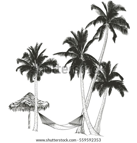 Vector illustration on a graphic tablet. Hand drawing.Palm trees with hammock.