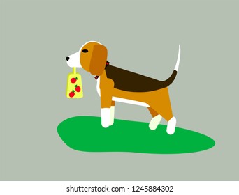 Vector illustration on gray background. 
The dog the beagle or the harrier walks across the lawn on the grass. The dog carries a bag of groceries from the store. Sign a place to walk with dogs.