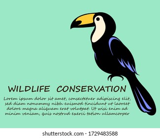 Vector illustration on a green background of a hornbill. It is a symbol of wildlife conservation.