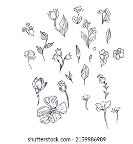 Vector illustration on hand-drawn,for banners stickers,flower doodles