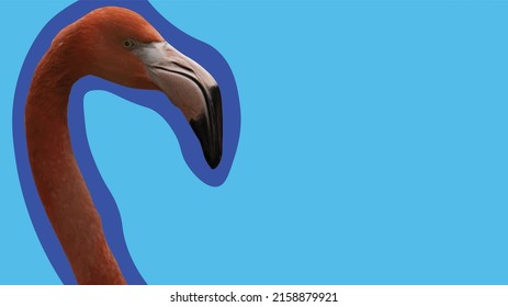 Vector illustration. On the left illustration of a flamingo head with a neck. Round bird blue background. The rest of the wallpaper in a lighter blue. Flamingo, animals, birds. Environment and wildlif