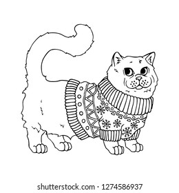 Vector illustration on the pets theme: the cat is wearing a sweater. Cartoon character. Domestic animal. Isolated objects for your design.