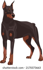 vector illustration on the theme "animals". suitable for use on social networks, for printing, for advertising, for posting on pet store websites