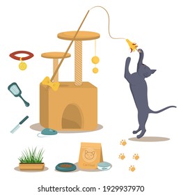 vector illustration on the theme of domestic cats. A British grey cat in a jump along with a cat house, food and toys for the cats that live in the house.