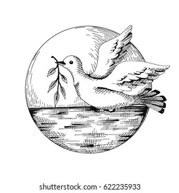Vector illustration on a theme of ecology. Saving the planet clean. A dove with a sprig of greenery. It is designed as a sketch. Isolated on white background