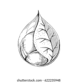 Vector illustration on a theme of ecology. Greening the planet. Conservation of water resources. It is designed as a sketch. Isolated on white background