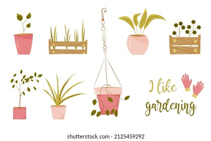 ilustración vectorial sobre el tema de la jardinería. plántulas representadas en cajas, plantas en macetas