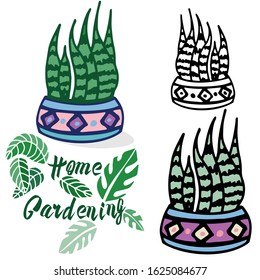 Vector illustration on the theme of home gardening. Homemade flower in a pot. Performed in different techniques, contour, stroke, color. Ideal for textile, paper, gift and web products.
