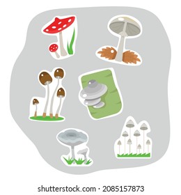 Vector illustration on the theme "inedible mushrooms". Here are depicted different types of inedible mushrooms for humans