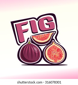 Vector illustration on the theme of the logo for fig still life composition, consisting of ripe fig and slice of fruit