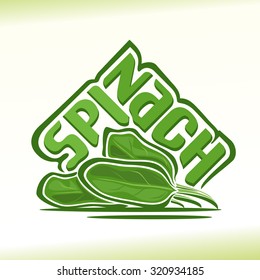 Vector illustration on the theme of the logo for spinach still life composition, consisting of ripe spinach with green leaf