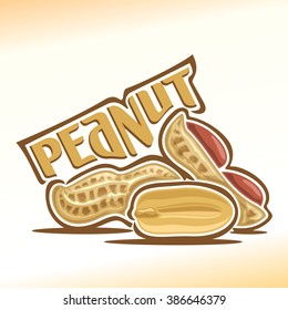 Vector illustration on the theme of the logo for peanut nuts still life composition , consisting of peeled half peanut nutlet and two nuts in the nutshell