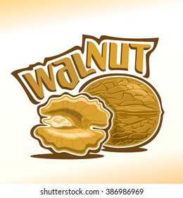 Vector illustration on the theme of the logo for walnut nut in shell, half of the peeled walnut kernel of the nutlet nutshell, nuts still life composition closeup 
