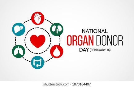 Vector illustration on the theme of National Organ Donor day observed each year on February 14th. - Shutterstock ID 1873184407
