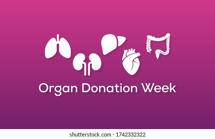 Vector illustration on the theme of Organ Donation week observed each year during September.