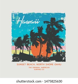 Vector illustration on the theme of surfing and surf in Hawaii. Vintage design. Grunge background.  Sport typography, t-shirt graphics, print, poster, banner, flyer, postcard