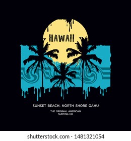 Vector illustration on the theme of surfing and surf in Hawaii. Vintage design. Grunge background.  Sport typography, t-shirt graphics, print, poster, banner, flyer, postcard
