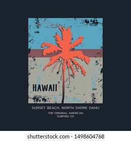 Vector illustration on the theme of surfing and surf in Hawaii. Vintage design. Grunge background.  Sport typography, t-shirt graphics, print, poster, banner, flyer, postcard