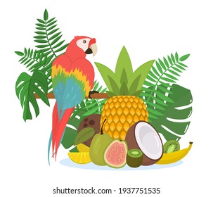 vector illustration on the theme of tropical fruits and birds. A group of exotic fruits on a background of leaves with a red macaw sitting next to it. Isolated on a white background