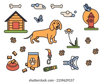 Vector illustration on the theme of walking with a dog. Set of graphic elements related to grooming dogs