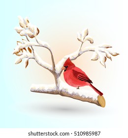 Vector illustration on the theme of winter, branch with snow, winter bird. Made in a realistic style