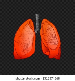 Vector Illustration on the theme World Tuberculosis Day  Banner and greeting card 24 march