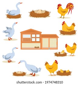 vector illustration on the topic of breeding poultry on a farm.A set of illustrations with chickens, geese, egg nests and a chicken coop