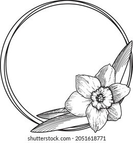 Vector illustration on a transparent background. Stylized narcissus flower with leaves. Round card with an empty place to insert