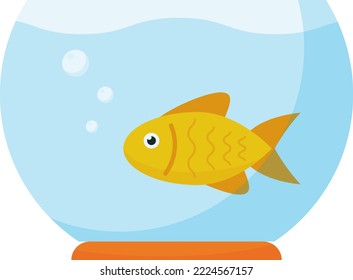 Vector illustration on transparent background, of a gold fish in a fishbowl. Fish swimming calmly.