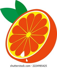 Vector illustration on transparent background, of half orange, citrus and vitamin C, orange fresh tropical fruit with leaves, acid. Orange slice and seeds.