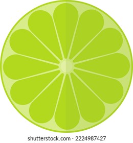 Vector illustration on transparent background, of half a lime or lemon, citrus and vitamin C, fresh tropical lime fruit with leaves, acid. Green orange slice and seeds.
